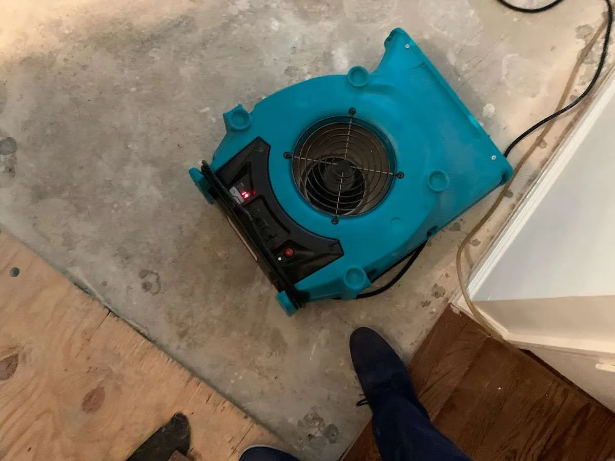 Air mover drying subfloor during Commercial Water Damage Restoration in Mililani Town